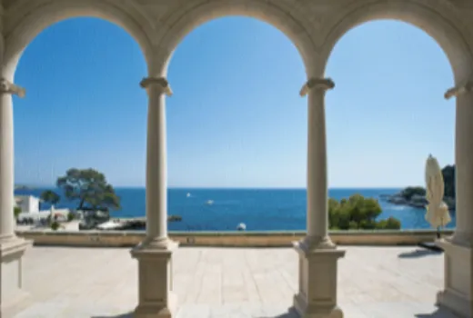 Descripción de la imagen